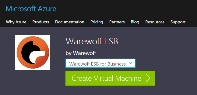 create  Warewolf ESB virtual machine on azure