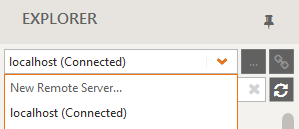 Screenshot of the Explorer - New Remote Server